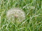 PoetryUnitPowerpoint