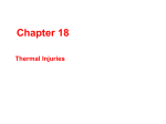 Chapter 18