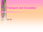 Transport and Circulation - Jamestown Public Schools