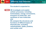 3.4 Diffusion and Osmosis TEKS 4B, 9A