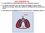 Resp and Circulatory Sys PPT
