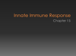 Innate Immune Response