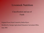 Nutrient Content in Meat