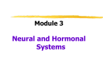 M 3 Neural and Hormonal Systems