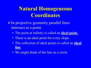 Natural Homogeneous Coordinates
