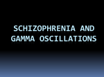 Schizophrenia and Gamma Oscillations