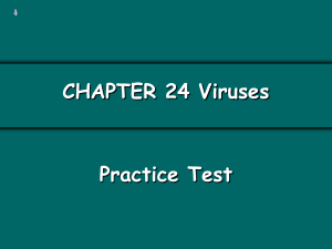 Biology Ch 24 Pract Test