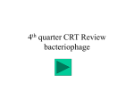 4th quarter CRT Review