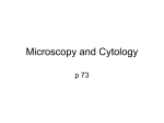 Unit 7 Microscopy