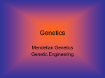 Genetics