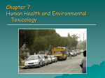 Lecture - Chapter 7 - Environmental Toxicology