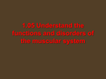 Muscular System Functions and Disorders