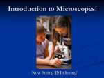 Simple Compound Microscope