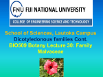 BIO509 Lecture 29 File