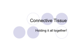 Connective Tissue - Mayfield City Schools