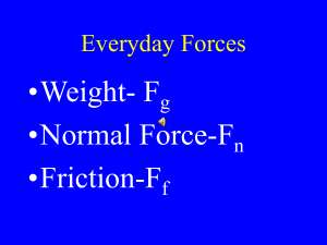 Everyday_Forcesfor_moodle