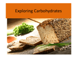 Exploring Carbohydrates