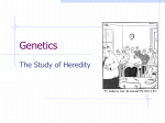 Genetics - NorthTeam1