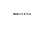 Hormone Cycles - hrsbstaff.ednet.ns.ca