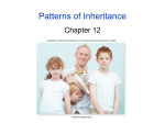 Chapter 12: PowerPoint