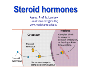 Steroid hormones_E