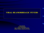 4-Viral Hemorrhagic Fevers (Jan 2010).