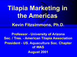 International - University of Arizona