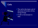 Cells - Wsfcs