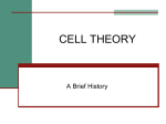 2.1Cell Theory AT