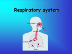 Respiratory/Excretory System Notes