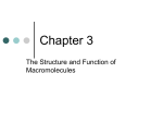 Chapter 3-5 Organic Chemistry