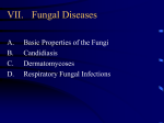 VII. Fungal Diseases