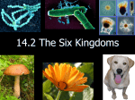 Six Kingdoms PPT 3-22-17