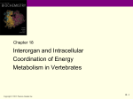 Interdependence of the Major Organs in Vertebrate Fuel Metabolism