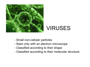 viruses - skippysciences