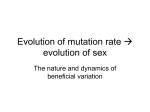 Evolution of mutation rate evolution of sex