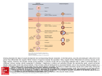 Slide 1 - AccessMedicine