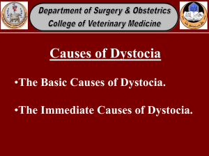 The Immediate Causes of Dystocia