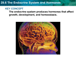 29.6 The Endocrine System and Hormones