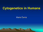 Genetics of prokaryotic cell