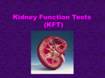 Kidney functions