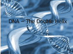DNA – The Double Helix