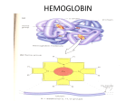 Hemoglobin - Medico Tutorials