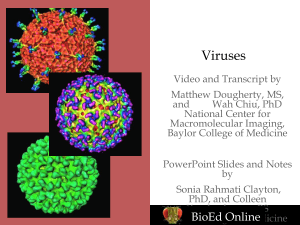 virus - Prodigy Science
