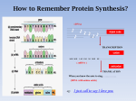 How to remember Protein Synthesis