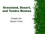 Grassland, Desert, and Tundra Biomes