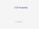 cell jeopardy