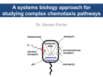 CheA 3 is the missing phosphatase - National e