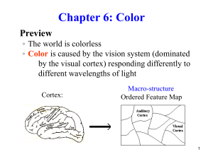 Ch 6