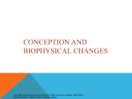 conception and biophysical changes